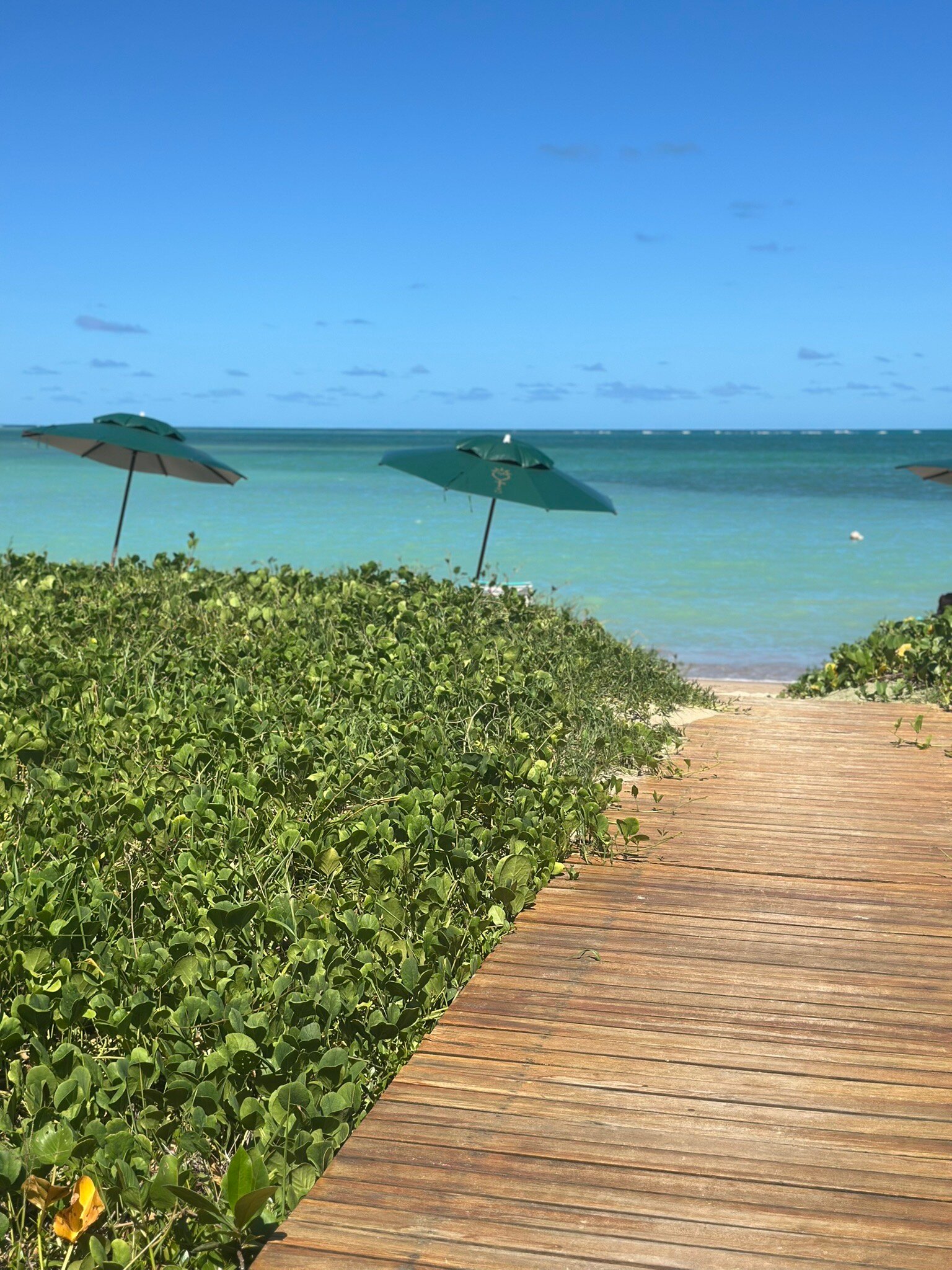 Aldeia Beijupira Pousada-官方