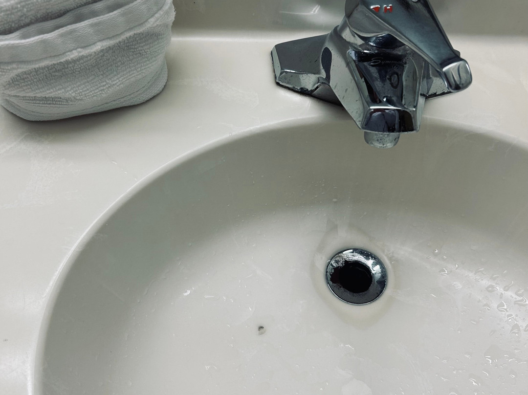 Microtel Inn & Suites by Wyndham Leesburg/Mt Dora主图