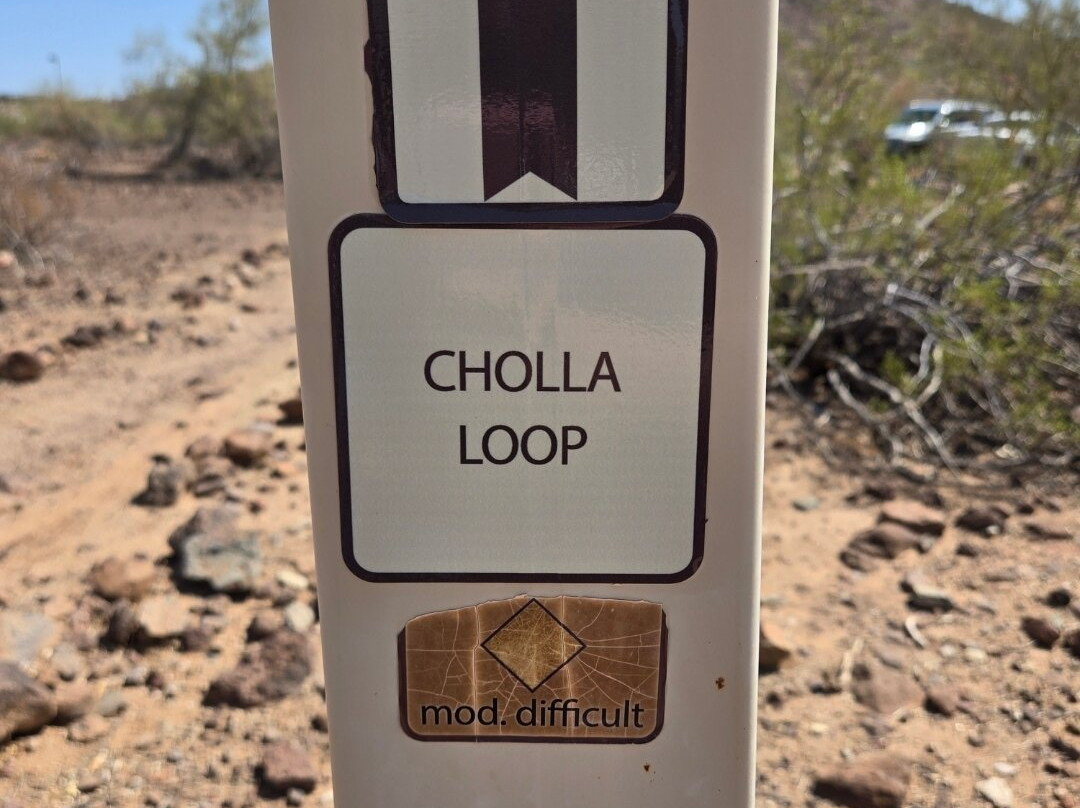 Thunderbird Conservation Park-格兰岱尔必去景点