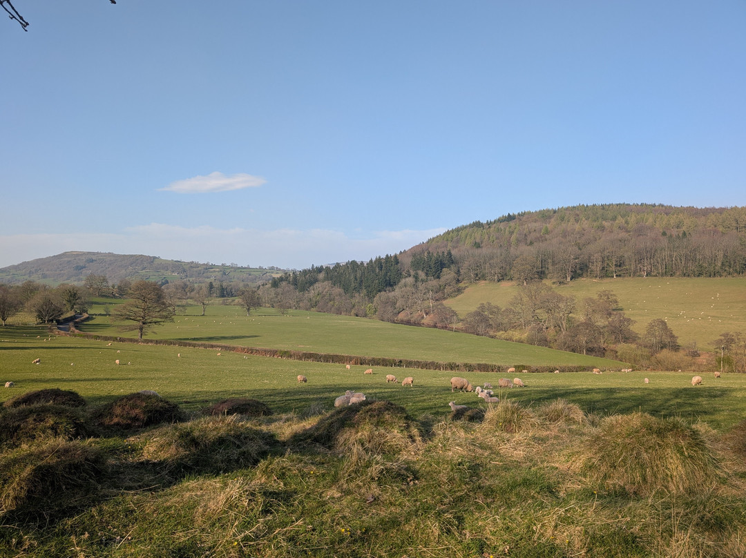 Llanddetty Hall Farm主图