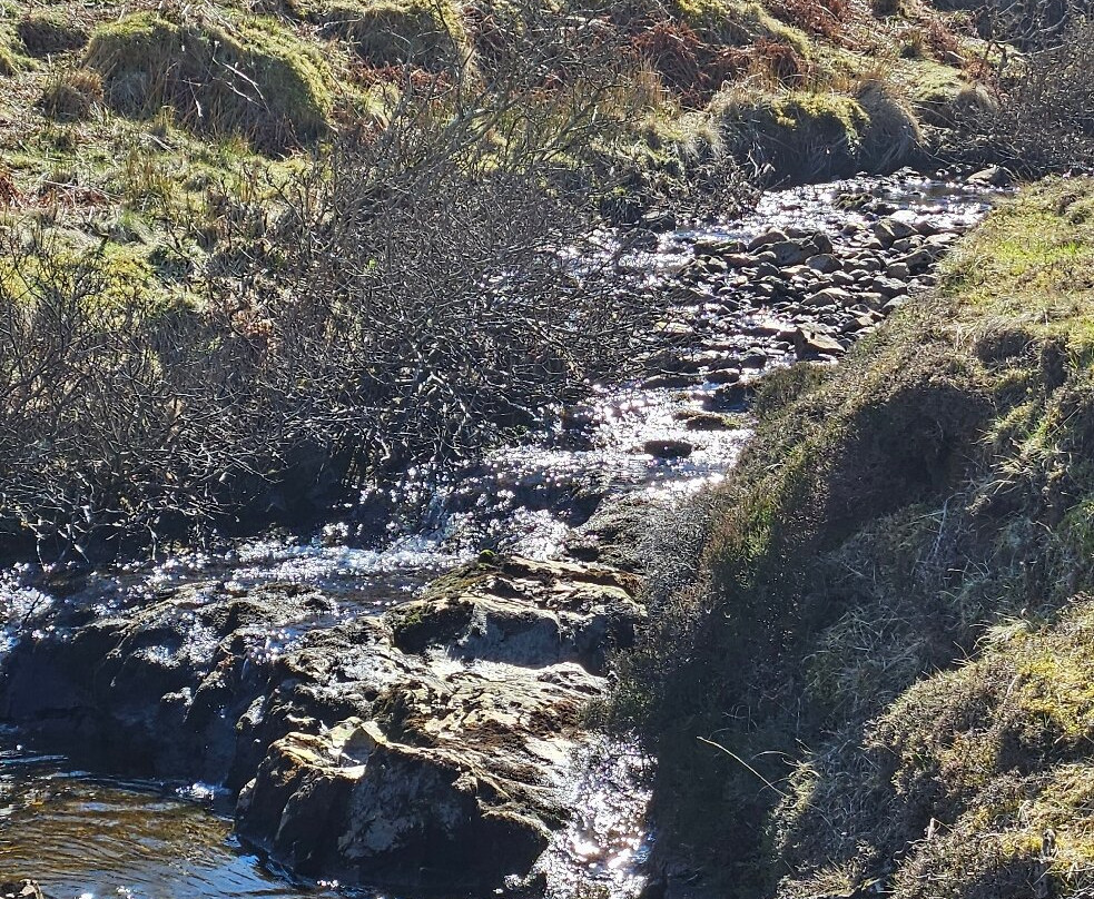 Isle of Skye Wildlife Tours -Tours-Portree必去景点