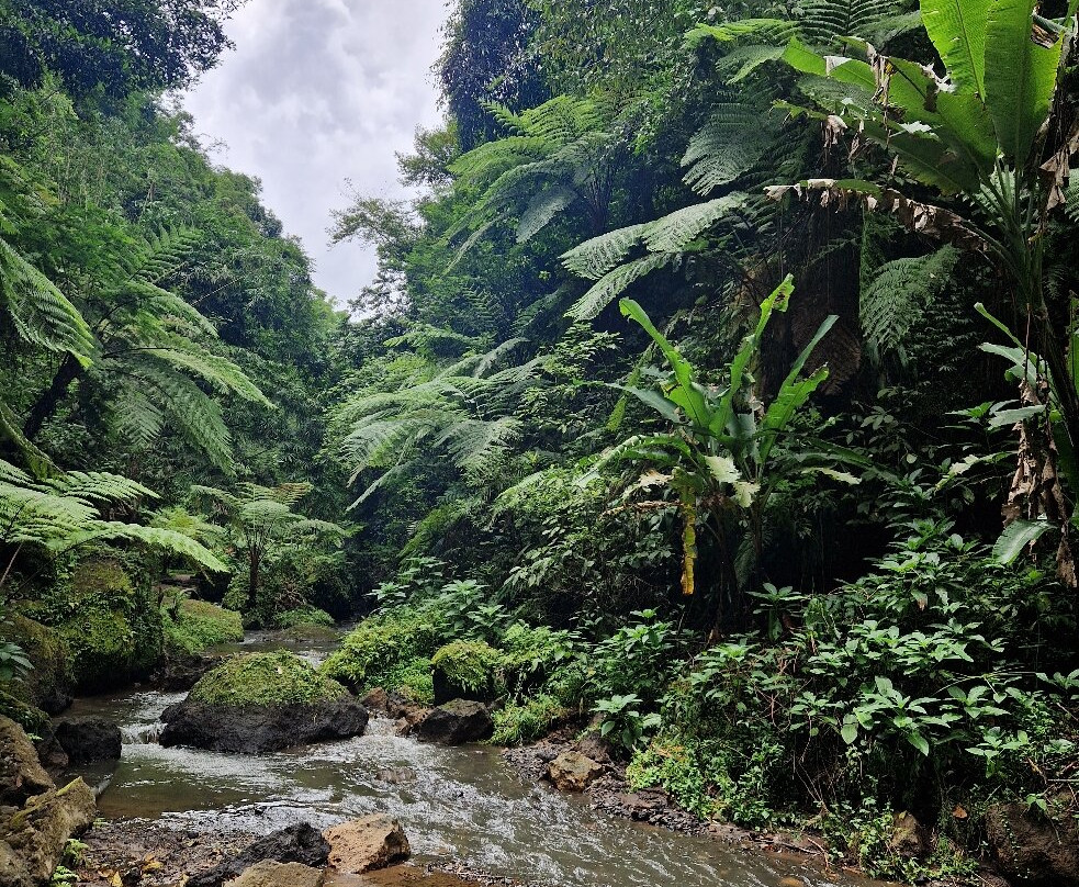 Goa Raja Waterall-Tembuku必去景点