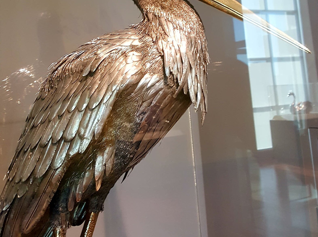 Huntsville Museum Of Art-亨茨维尔必去景点