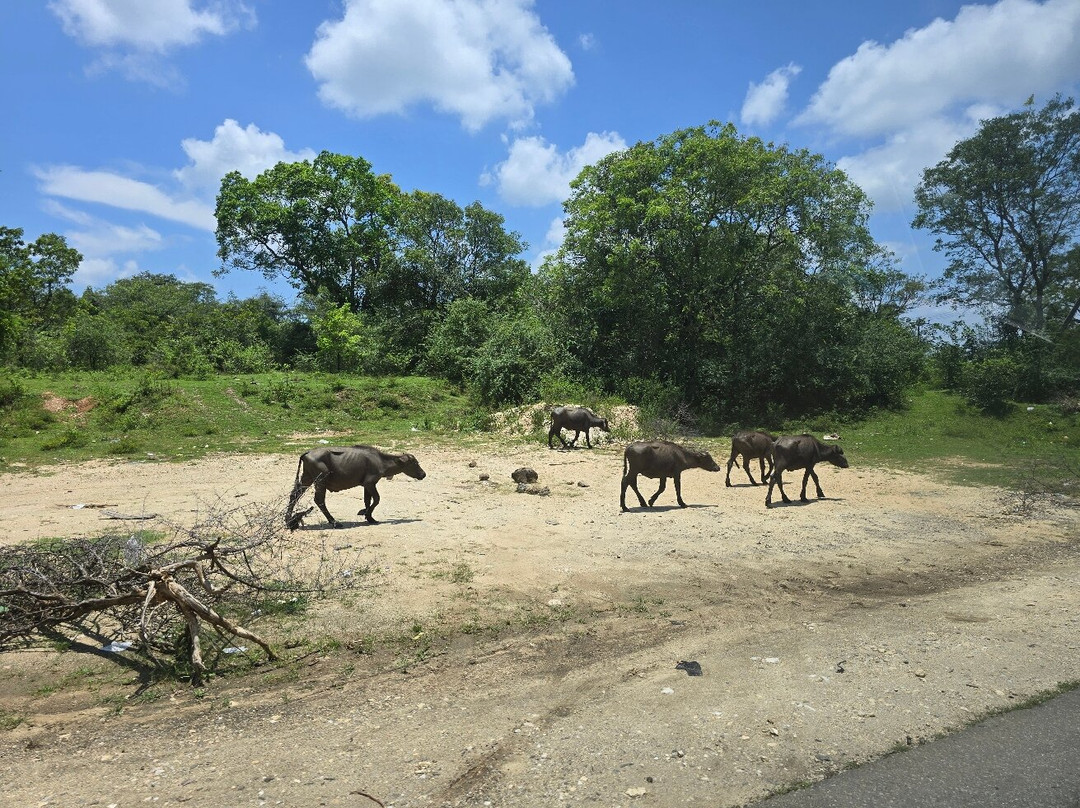 Nadin Travels & Tours-唐卡拉必去景点