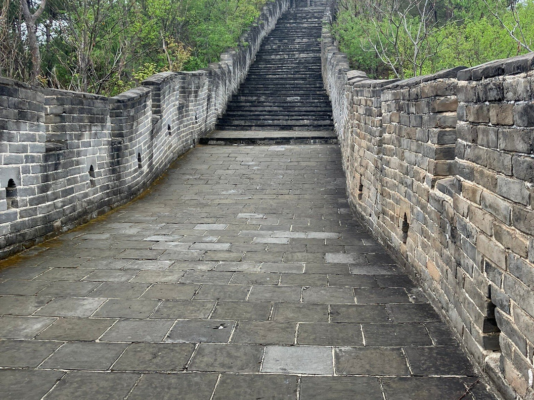 Intrepid Travel Pty Ltd - Asia-上海市必去景点