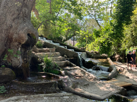 Focus Tours-厄吕代尼兹必去景点