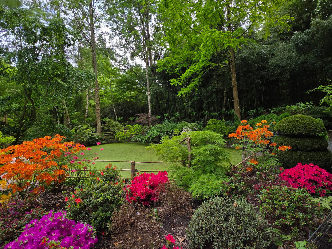 Jardin d'Atmosphere du Petit Bordeaux景点图片