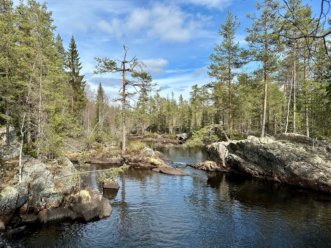 Hamra National Park-Ljusdal必去景点