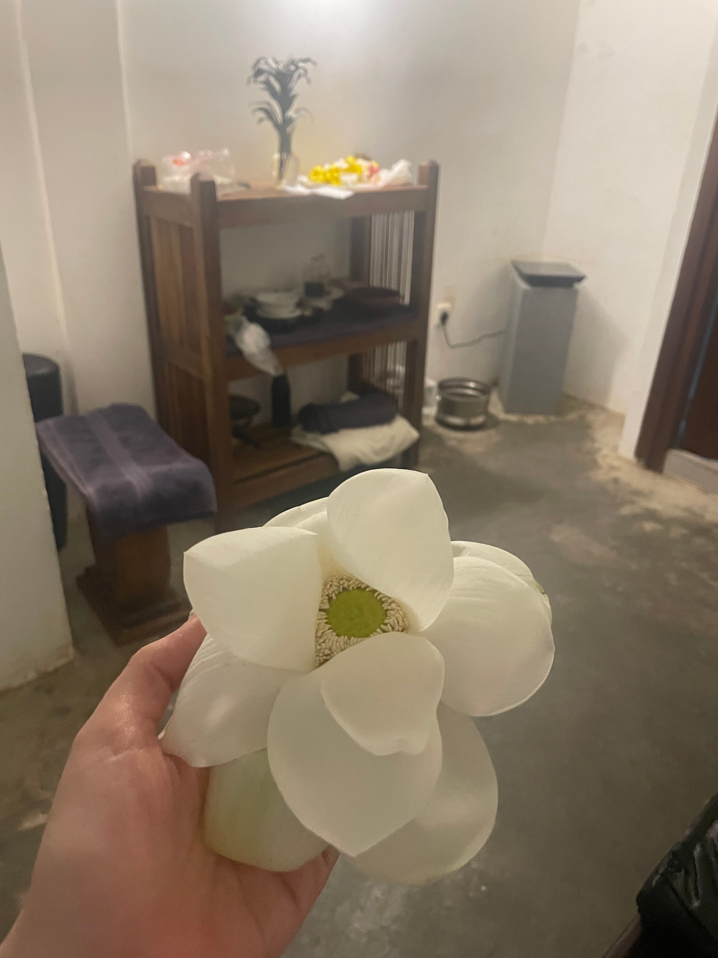 Roman Life Ayurveda Resort-官方