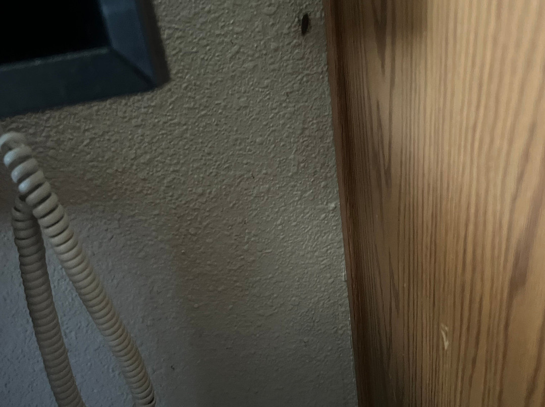 Extended Stay America Select Suites - Louisville - South主图