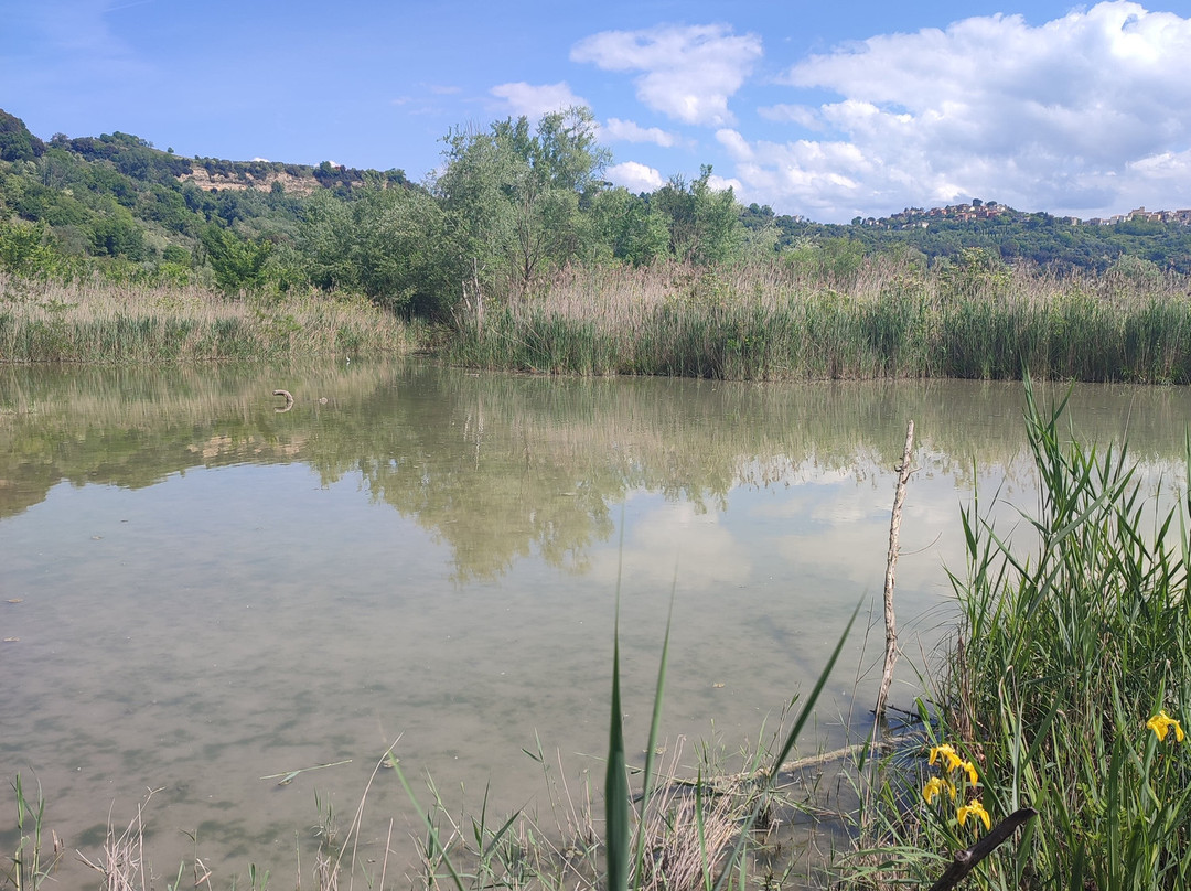 Riserva Naturale Regionale Nazzano Tevere-Farfa景点图片