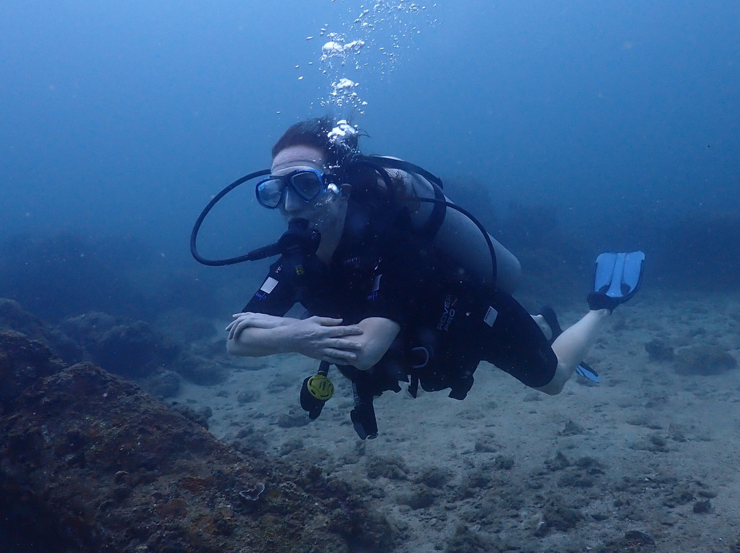 Epic Ocean Adventures-Trincomalee必去景点