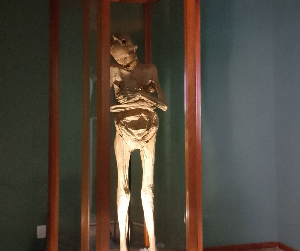 Museo Universitario Casa de Los Muñecos-普埃布拉必去景点