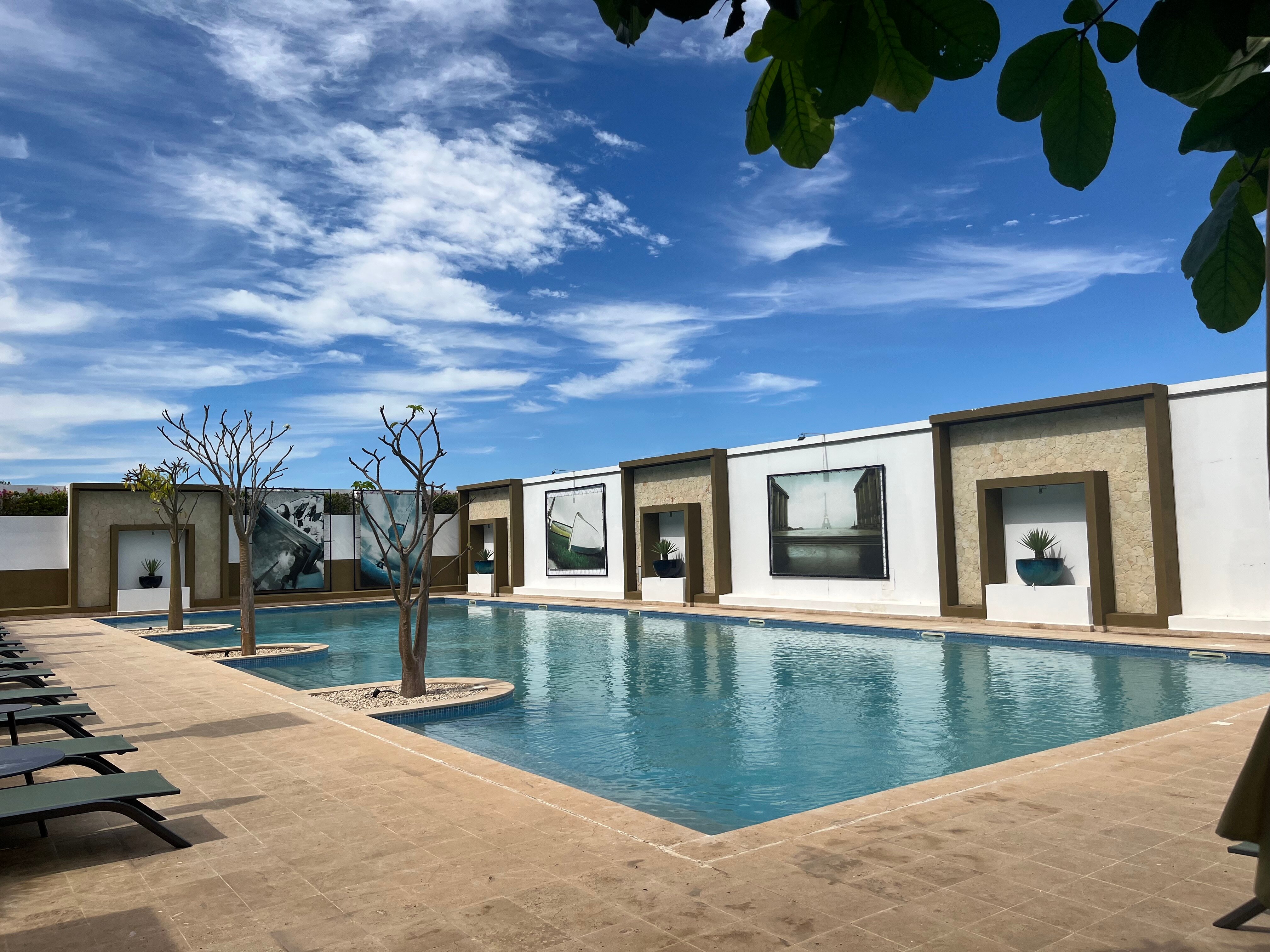 Baobab Tree Hotel & Spa-泳池