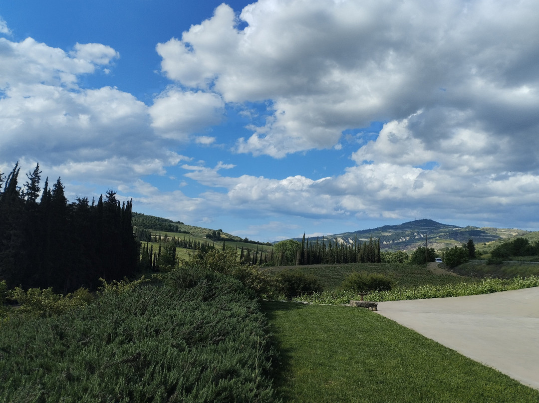 Estate Constantin Gofas-Nemea必去景点