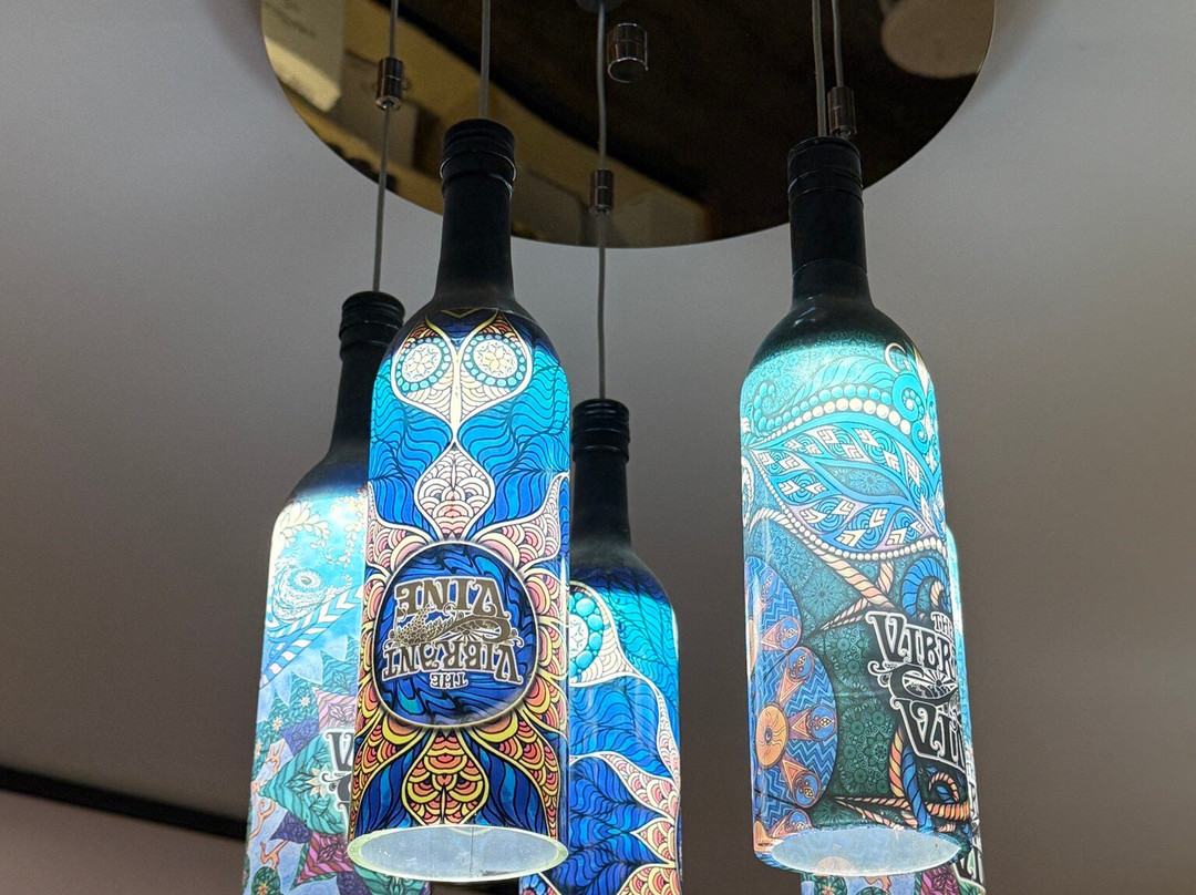 The Vibrant Vine-基洛纳必去景点