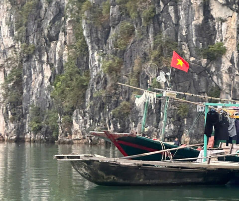 Blue Swimmer Cruises-Cat Ba Town必去景点