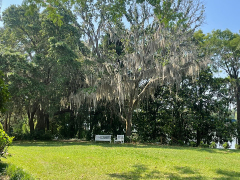 Hopsewee Plantation-乔治敦必去景点