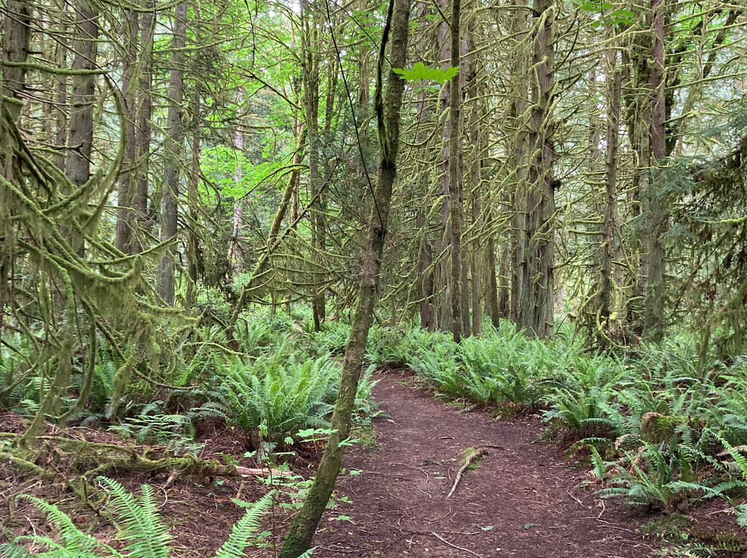 Crescent Lake County Park Trailhead-吉格港必去景点
