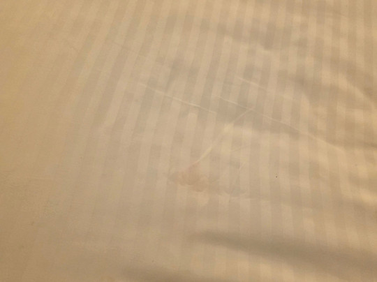 Blue Chip Casino Hotel Spa主图