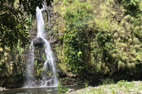 Hacienda Los Molinos