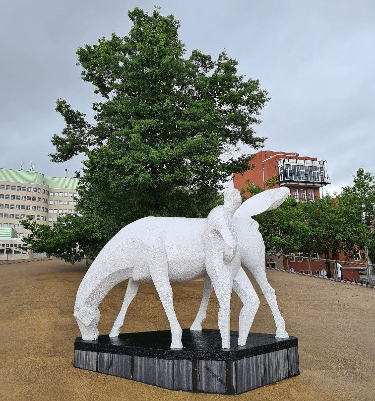 'Peerd van Ome Loeks'-格罗宁根省必去景点