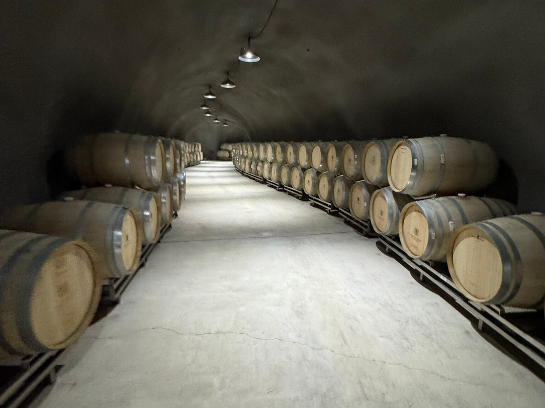 Halter Ranch Vineyard景点图片