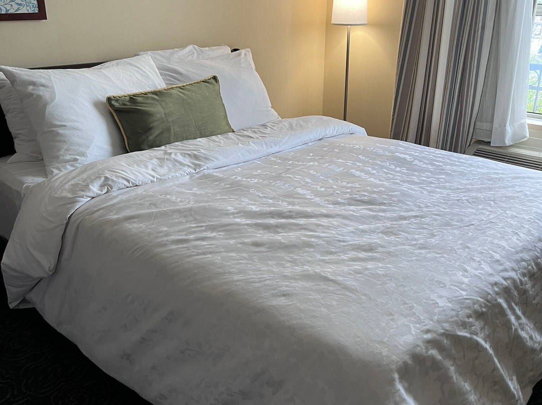 Le St-Martin Hotel & Suites主图