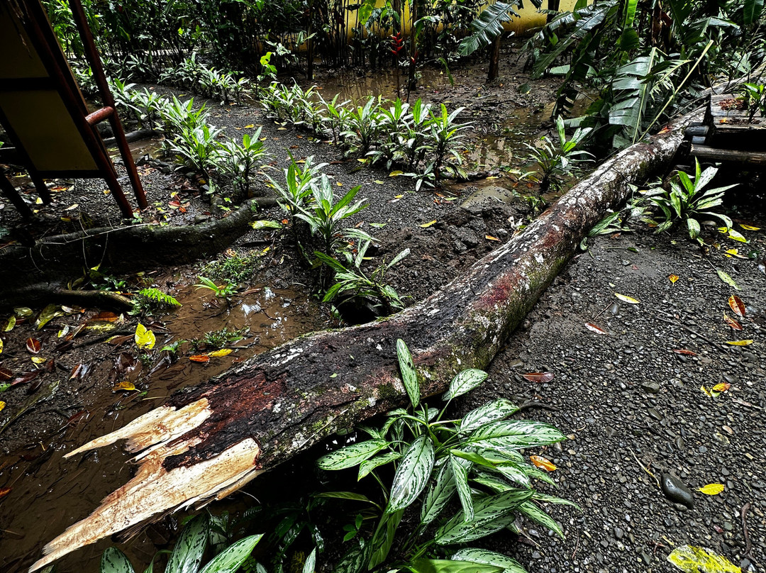 Hotel Shawandha Lodge主图