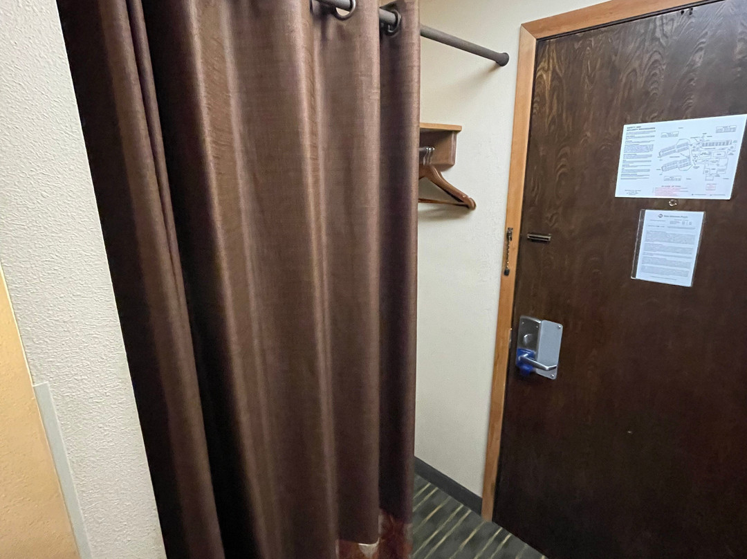 Best Western Plus Tree House主图