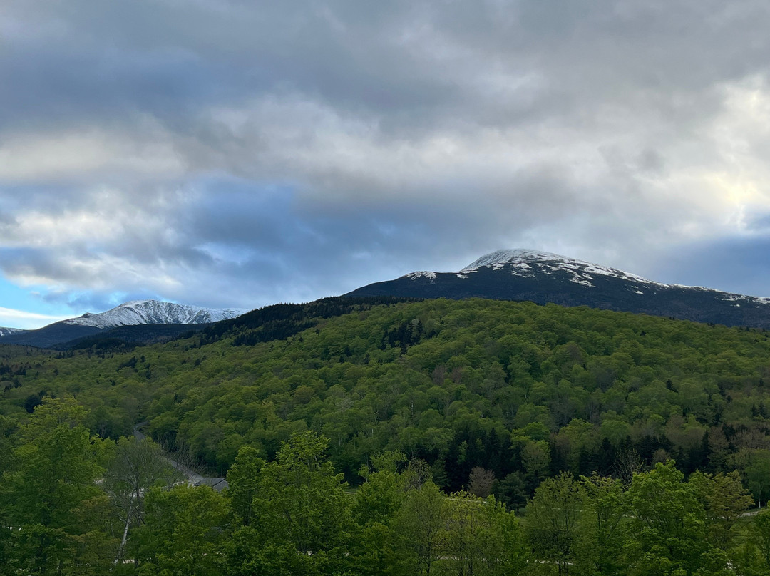 The Glen House主图