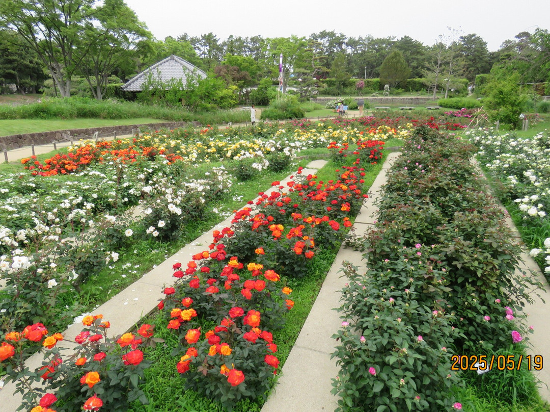 Hamadera Park-坂井市必去景点