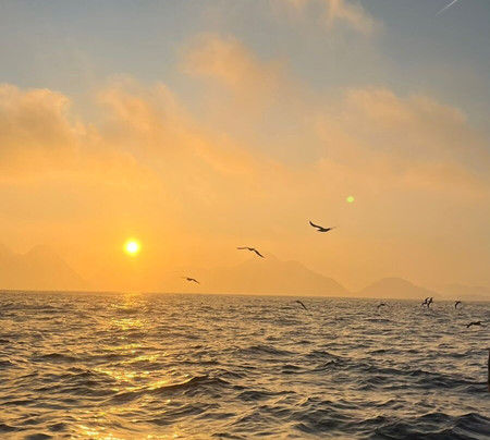 Selva'a Canoa-里约热内卢必去景点