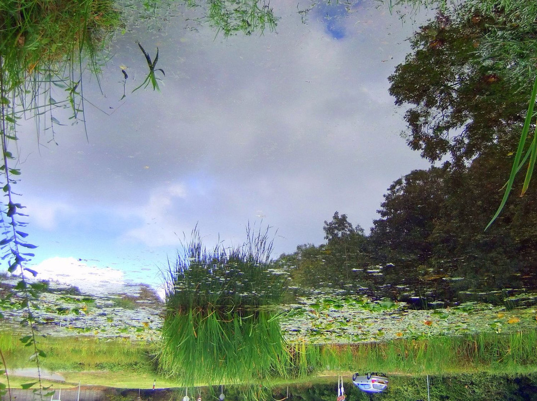 Friston旅游攻略图片