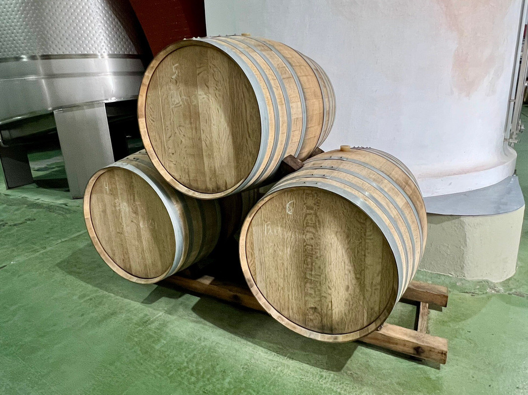 Bodegas Teneguia-Fuencaliente de la Palma必去景点
