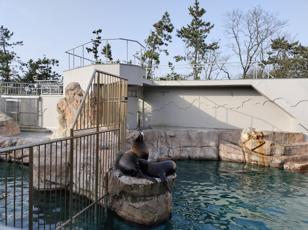 Marinepia Nihonkai-新泻市必去景点