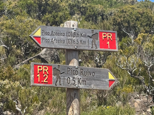 iGo Madeira Tours-马德拉群岛必去景点