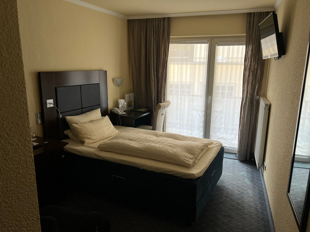 Schloß-hotel Petry主图