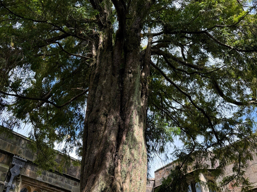 Skipton Castle景点图片
