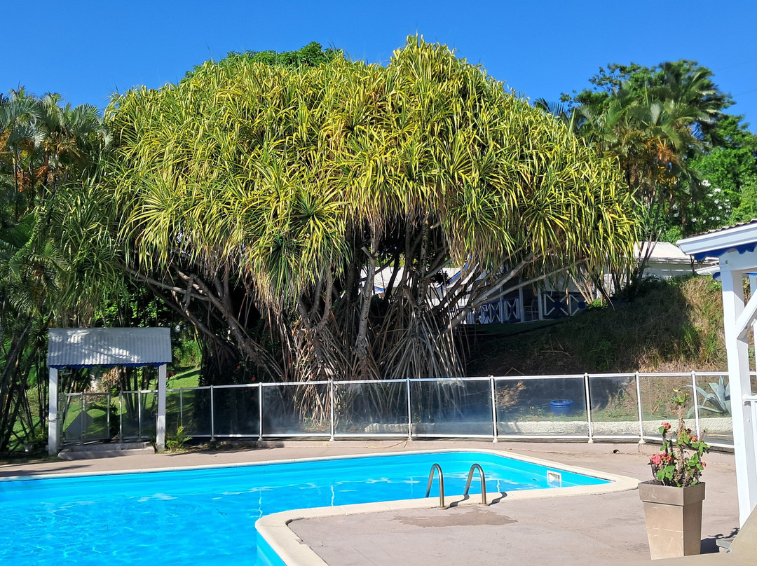 Le Jardin Tropical主图