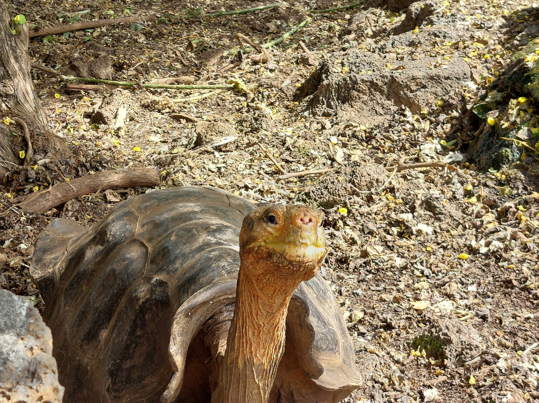Galapagos by Local Guides-圣克鲁斯必去景点