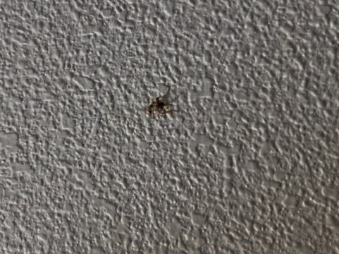 哥伦比亚西舒适酒店主图