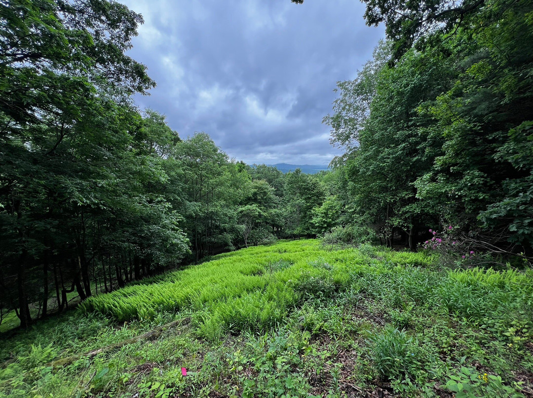 Pfeiffer Nature Center景点图片