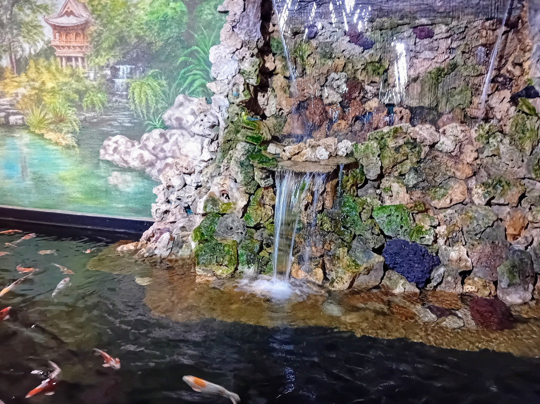 Erlebnispark Meeresaquarium-Zella-Mehlis必去景点