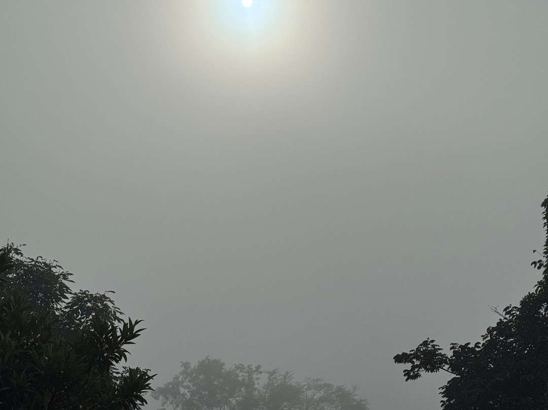 Contemplario-Cunha必去景点