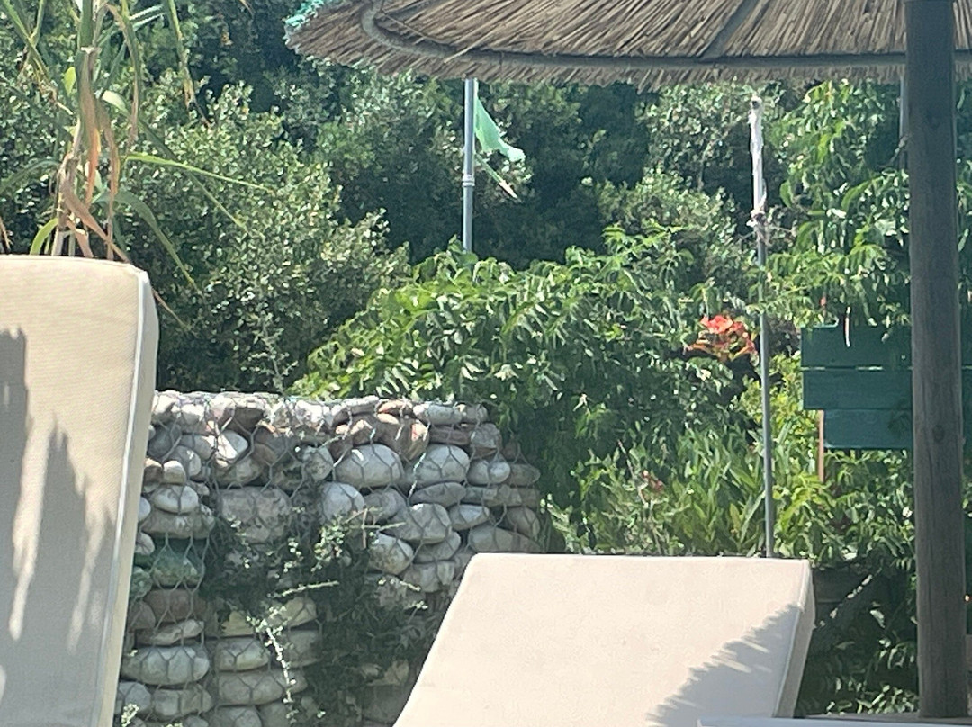 Caribbean Beach bar-Chrani必去景点