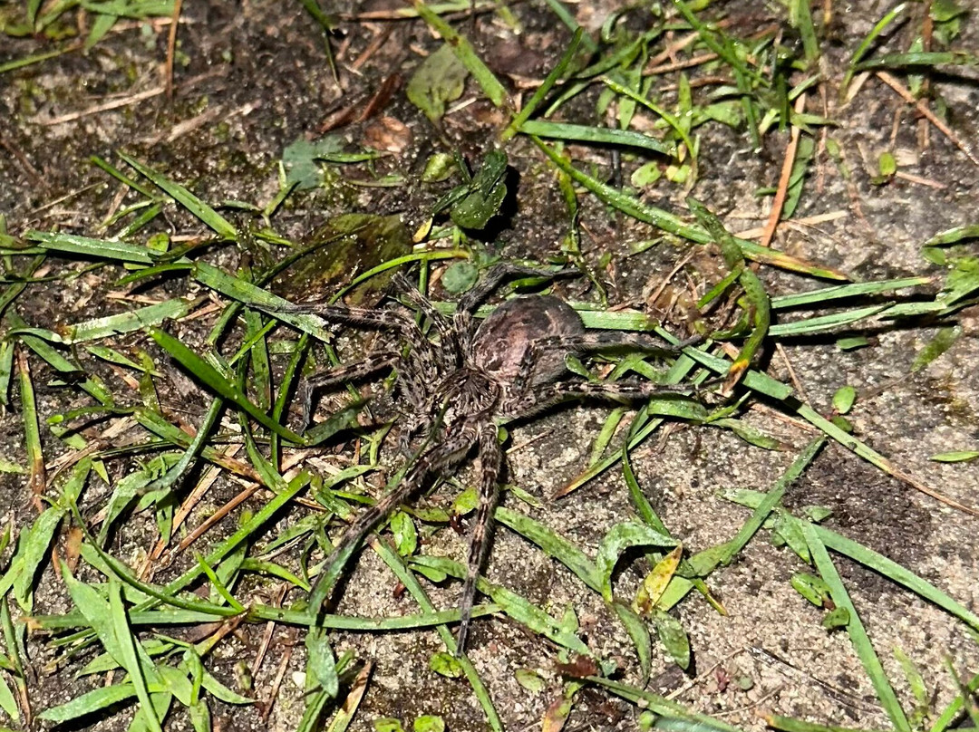 Algonac State Park-Marine City必去景点