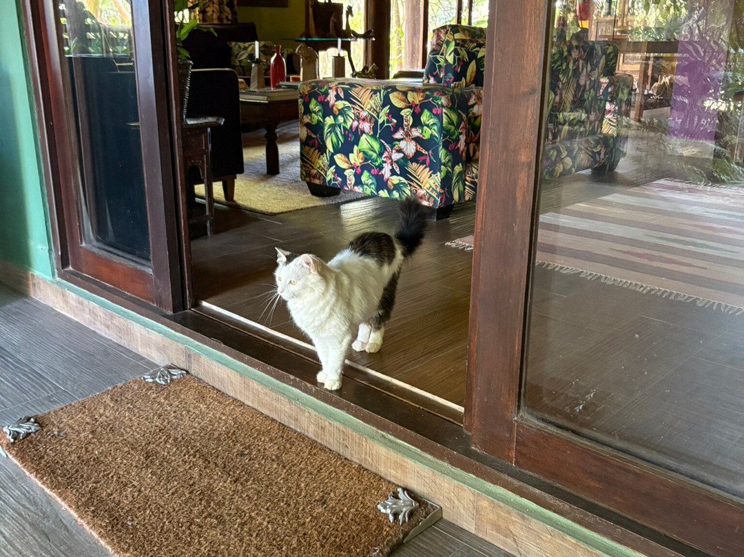 Pousada Celeiro do Gutto主图