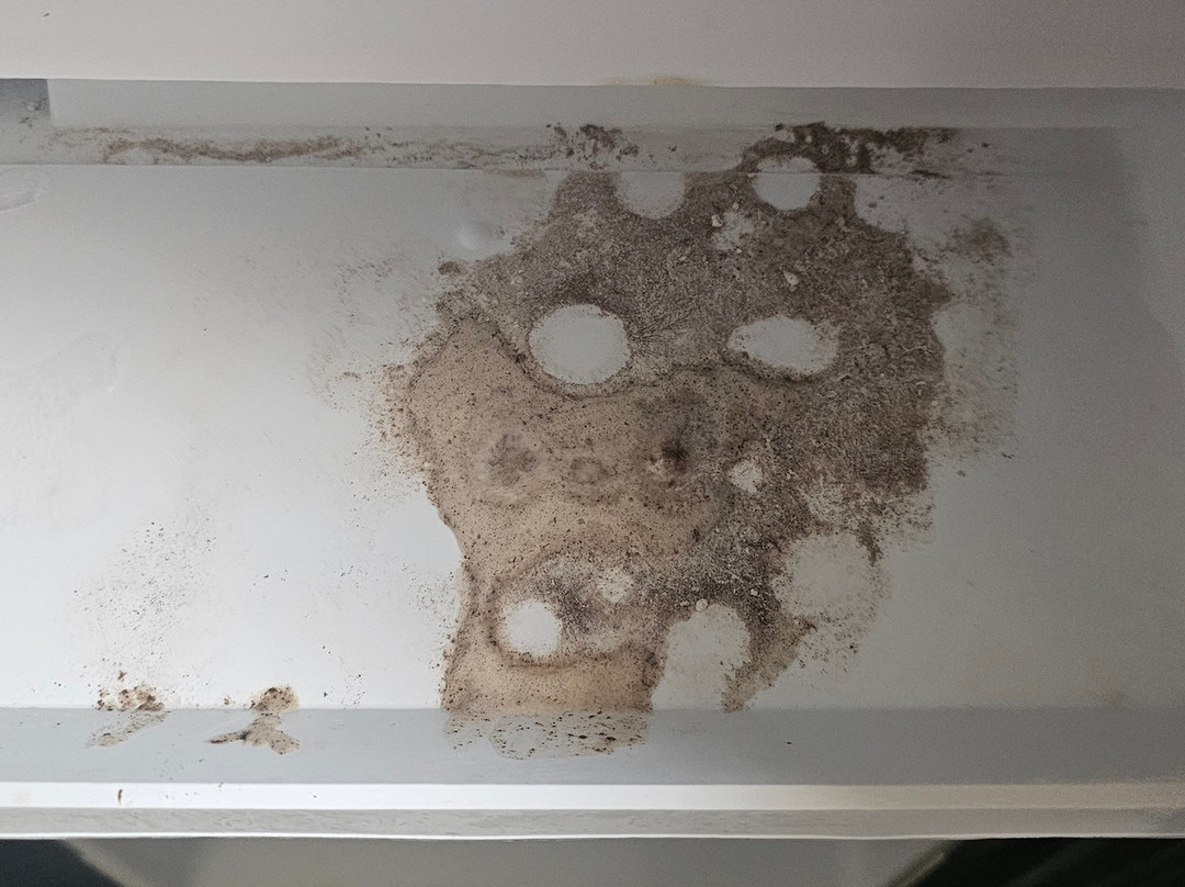 Holiday Inn Youngstown-south (boardman) By IHG主图