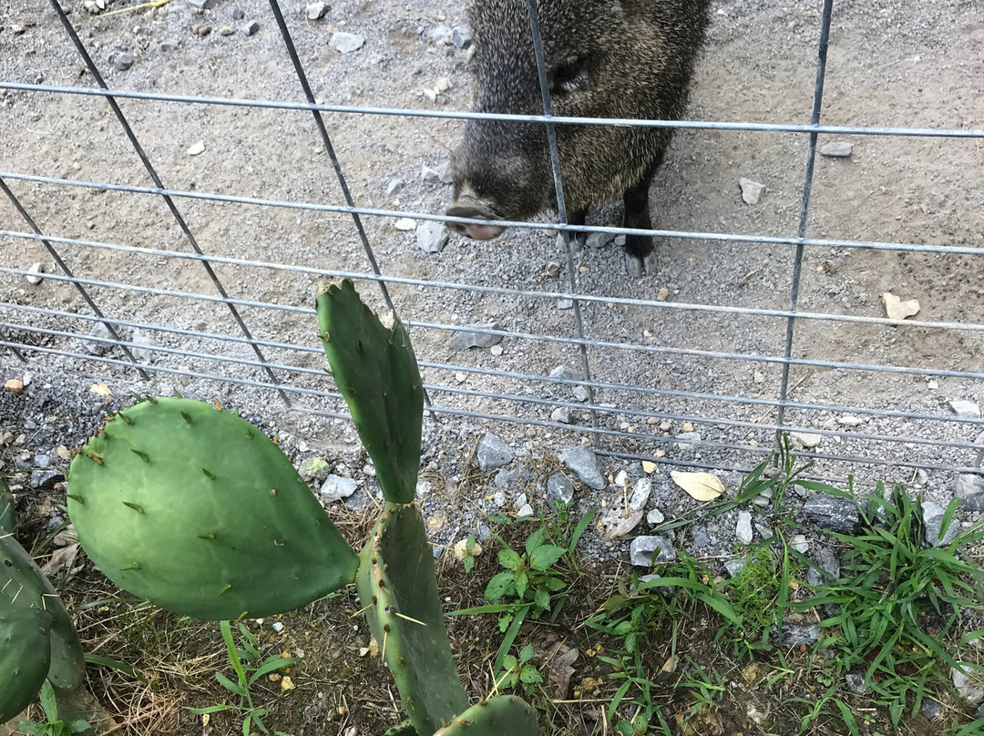 Creature Features Tennessee-Athens必去景点